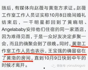 爆料刘姓明星视频,揭秘娱乐圈不为人知的一面  第3张