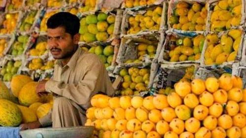 腐烂水果回收爆料视频,触目惊心的环保痛点 第3张 腐烂水果回收爆料视频,触目惊心的环保痛点 第3张