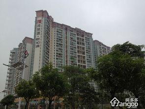 深圳熙龙湾爆料案件最新,揭秘豪宅区惊悚真相 第1张 深圳熙龙湾爆料案件最新,揭秘豪宅区惊悚真相 第1张